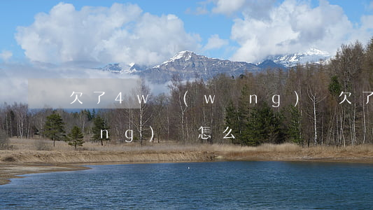 欠了4w網(wǎng)貸(欠了4w網(wǎng)貸怎么辦)