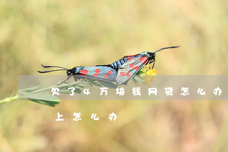 欠了4万块钱网贷怎么办(欠了4万网贷还不上怎么办)