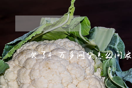 欠了4万多网贷怎么问家里头要