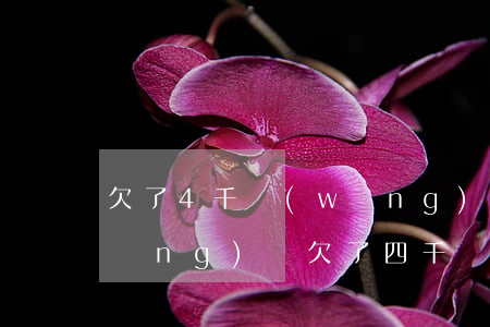 欠了4千網(wǎng)貸上門收債(網(wǎng)貸欠了四千,說要上門怎么辦)