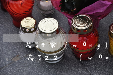 欠了4家網(wǎng)貸28萬還不起了(欠了22萬網(wǎng)貸)
