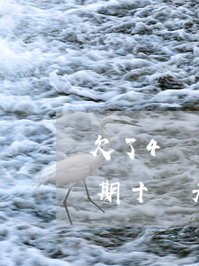 欠了4萬(wàn)多網(wǎng)貸 逾期十幾天(網(wǎng)貸欠款4萬(wàn)全部逾期了怎么辦)