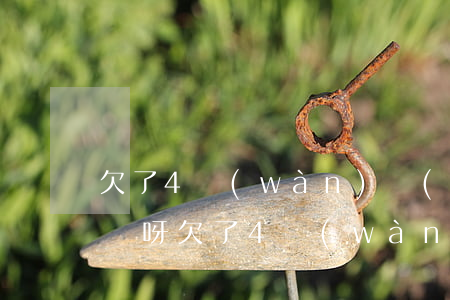 欠了4萬(wàn)網(wǎng)貸怎么辦呀(欠了4萬(wàn)網(wǎng)貸還不上怎么辦)