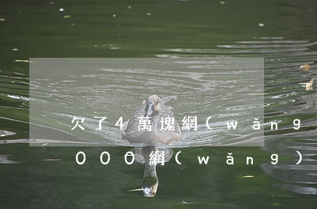 欠了4萬塊網(wǎng)貸會坐牢嗎(欠4000網(wǎng)貸會坐牢嗎)