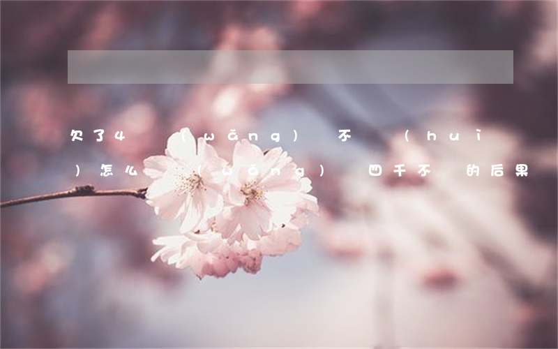 欠了4萬網(wǎng)貸不還會(huì)怎么樣(網(wǎng)貸四千不還的后果)