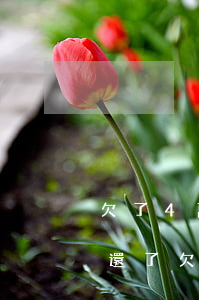 欠了4萬網(wǎng)貸想跟銀行借4萬還了(欠了四萬的網(wǎng)貸怎么辦)