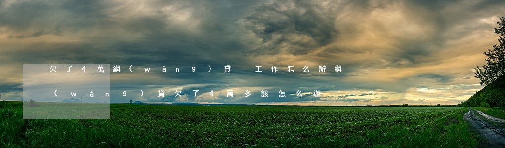 欠了4萬網(wǎng)貸沒工作怎么辦(網(wǎng)貸欠了4萬多該怎么辦)