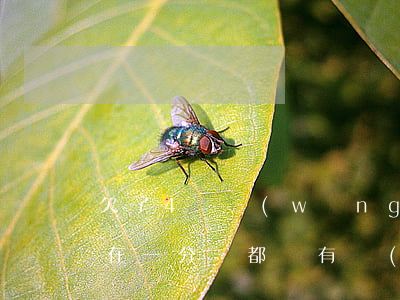 欠了4萬網(wǎng)貸現(xiàn)在一分錢都沒有(網(wǎng)貸欠了四萬多)