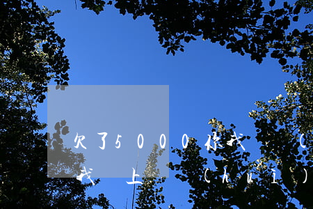 欠了5000你我貸會(huì)上門嗎(你我貸上門會(huì)干什么)