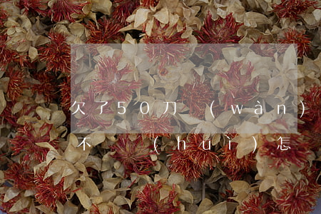 欠了50刀萬(wàn)網(wǎng)貸不還會(huì)怎樣(網(wǎng)貸五十萬(wàn)不還是什么后果)