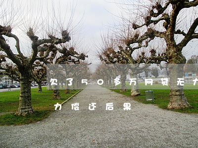 欠了50多万网贷无力偿还(欠网贷50万无力偿还后果)