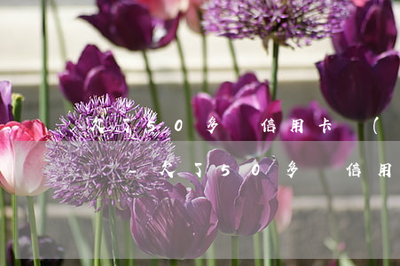 欠了50多萬信用卡網(wǎng)貸怎么辦-欠了50多萬信用卡網(wǎng)貸怎么辦呢