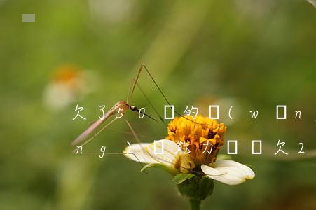欠了50萬的網(wǎng)貸已經(jīng)無能力償還(欠20萬網(wǎng)貸無力償還會怎么樣)