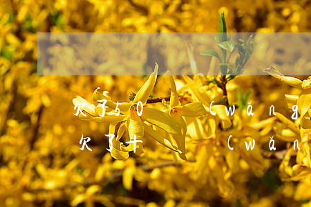 欠了50萬網(wǎng)貸該跟家里說嗎(欠了十幾萬網(wǎng)貸不敢跟家人說)