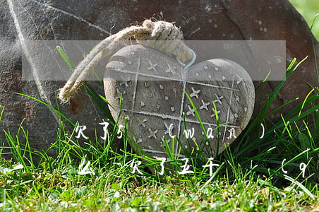 欠了5萬(wàn)塊網(wǎng)貸怎么辦(欠了五千塊錢(qián)網(wǎng)貸)