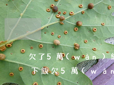 欠了5萬(wàn)網(wǎng)貸吃不下飯(欠5萬(wàn)網(wǎng)貸不還會(huì)怎么樣)
