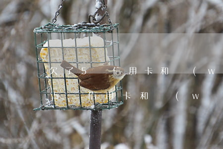 欠了5萬信用卡和網(wǎng)貸(欠了45萬信用卡和網(wǎng)貸)