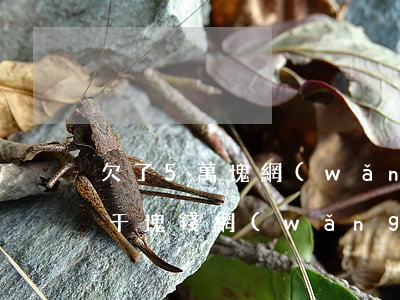 欠了5萬塊網(wǎng)貸怎么辦(欠了五千塊錢網(wǎng)貸)