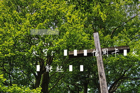 欠了5萬塊錢信用卡嗎(欠了5萬塊錢信用卡嗎能起訴嗎)