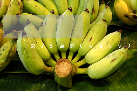 欠了5萬網(wǎng)貸四年沒還了