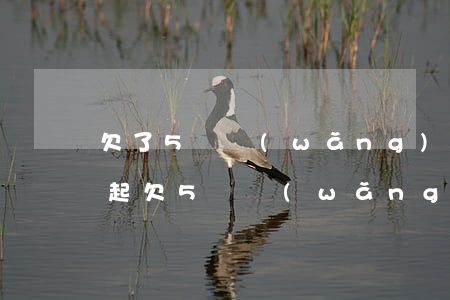 欠了5萬網(wǎng)貸目前沒工作還不起(欠5萬網(wǎng)貸不還會(huì)怎么樣)