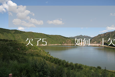 欠了5萬網貸如何還上(欠網貸5萬怎么辦)