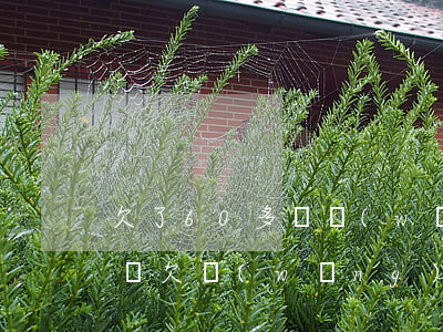 欠了60多個網(wǎng)貸不還會怎么樣(欠網(wǎng)貸六萬不還會怎么樣)