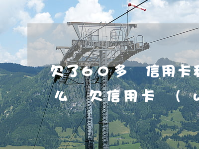 欠了60多萬信用卡和網(wǎng)貸怎么辦(欠信用卡網(wǎng)貸60幾萬)