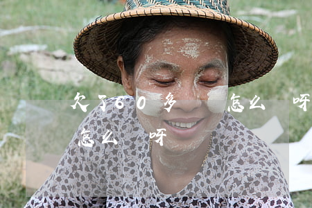 欠了60多萬該怎么辦呀-欠了60多萬該怎么辦呀