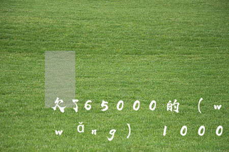 欠了65000的網(wǎng)貸(欠網(wǎng)貸10000)