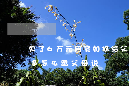 欠了6万元网贷如何给父母说(欠了网贷一万多怎么跟父母说)