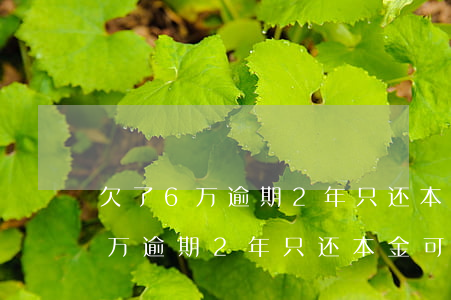 欠了6万逾期2年只还本金可以吗-欠了6万逾期2年只还本金可以吗怎么办