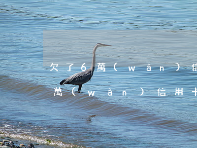 欠了6萬(wàn)信用卡怎么翻身（欠了幾萬(wàn)信用卡怎么做）
