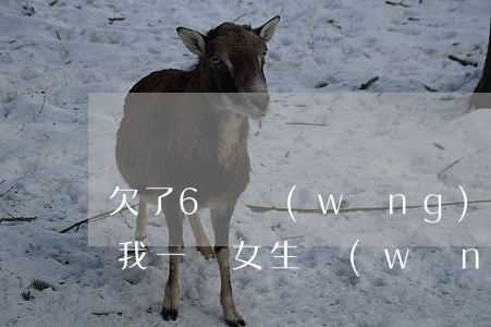 欠了6萬網(wǎng)貸不敢跟家里人說(我一個女生網(wǎng)貸欠6萬不敢給家人說)