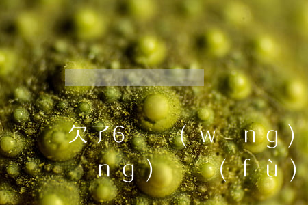 欠了6萬網(wǎng)貸怎么上岸(網(wǎng)貸負(fù)債6萬多怎么上岸)