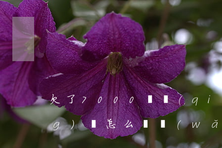 欠了7000塊錢(qián)網(wǎng)貸怎么辦(網(wǎng)貸欠了10000多怎么辦)