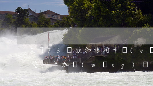 欠了75貸款和信用卡網(wǎng)貸(欠信用卡加網(wǎng)貸總共三十萬)