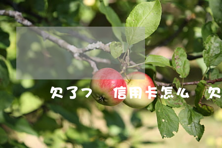 欠了7萬信用卡怎么辦（欠7萬信用卡嗎）