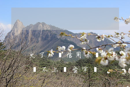 欠了7萬信用卡還不起了(欠銀行信用卡七萬還不上會坐牢嗎)