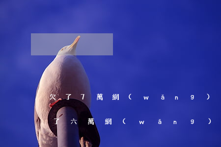 欠了7萬網(wǎng)貸還不起怎么辦(欠了六萬網(wǎng)貸還不上怎么辦)