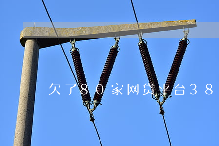 欠了80家网贷平台(380家网贷平台倒闭)