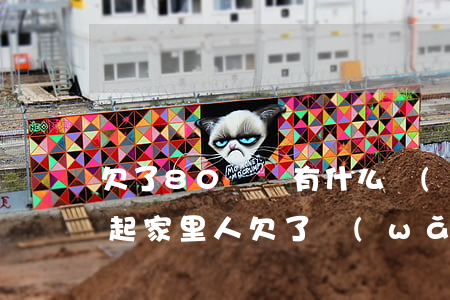 欠了80萬還有什么網(wǎng)貸(對不起家里人欠了網(wǎng)貸80多萬)