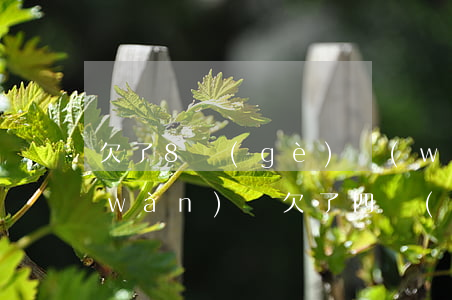 欠了8個(gè)網(wǎng)貸四萬(wàn)塊(欠了四萬(wàn)多網(wǎng)貸怎么辦)
