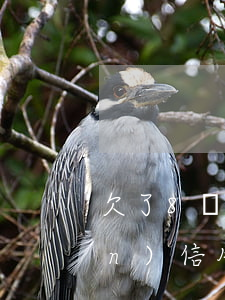 欠了8萬(wàn)信用卡(欠了8萬(wàn)信用卡心很慌)