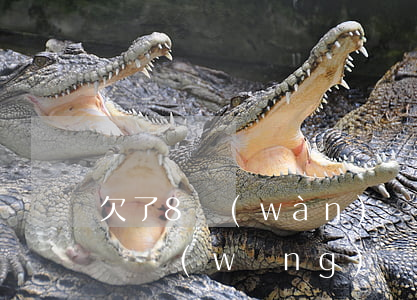 欠了8萬(wàn)網(wǎng)貸怎樣還(網(wǎng)貸欠款8萬(wàn)怎么辦)