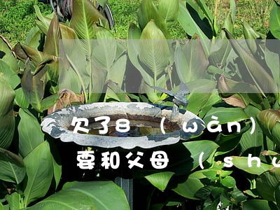 欠了8萬(wàn)網(wǎng)貸要不要和父母說(shuō)(欠了8萬(wàn)網(wǎng)貸要不要和父母說(shuō))