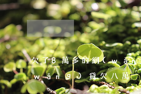 欠了8萬多的網(wǎng)貸多不多(網(wǎng)貸欠八萬)