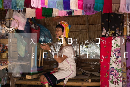 欠了8萬網(wǎng)貸快還不上了(欠了8萬網(wǎng)貸快還不上了)