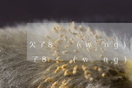 欠了8萬網(wǎng)貸怎么告訴家人(欠了8萬網(wǎng)貸要不要和父母說)
