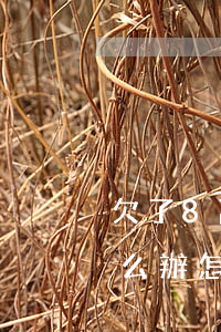 欠了8萬網貸怎么給家人說(欠了7萬網貸怎么辦怎么跟家里說)